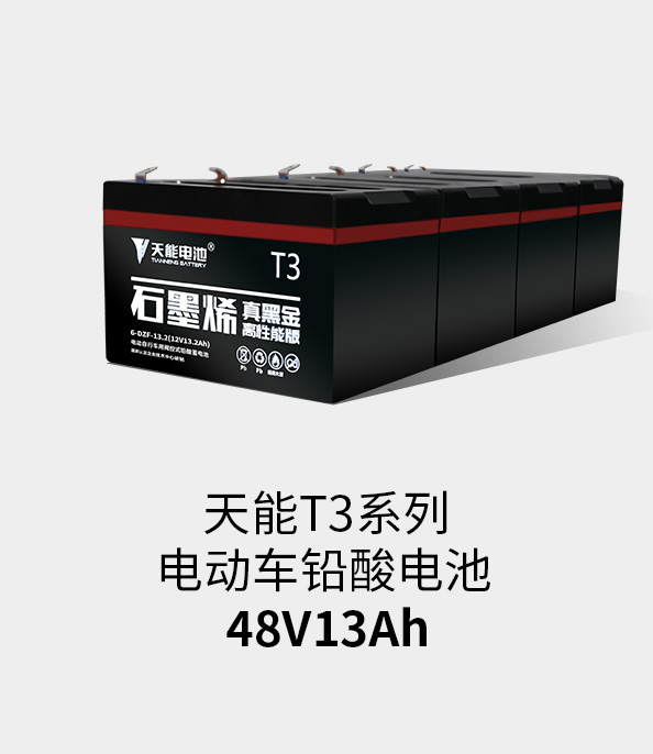 天能鋰電池48v20ah